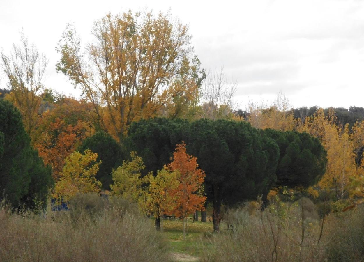 Apartamentos "Casa Rural De Aldea" Aldea del Fresno Buitenkant foto
